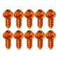 ANODIZED BIKE SCREWS - Thebrapshop