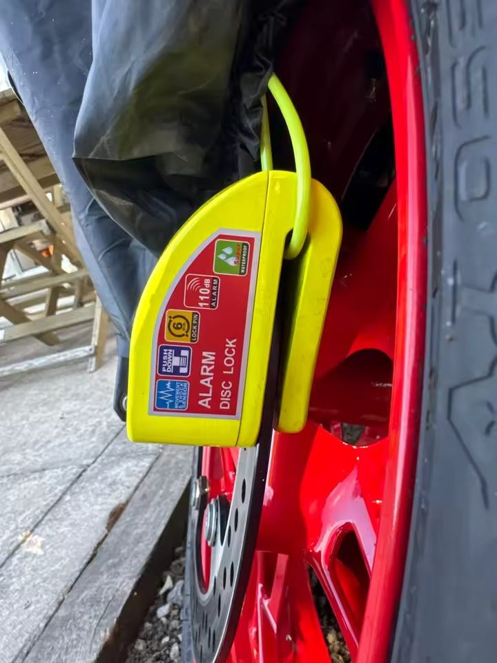 ANTI-THEFT ALARM LOCK - Thebrapshop