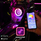 BETA RGBW LOCCI'S EYE 4.0 - Thebrapshop