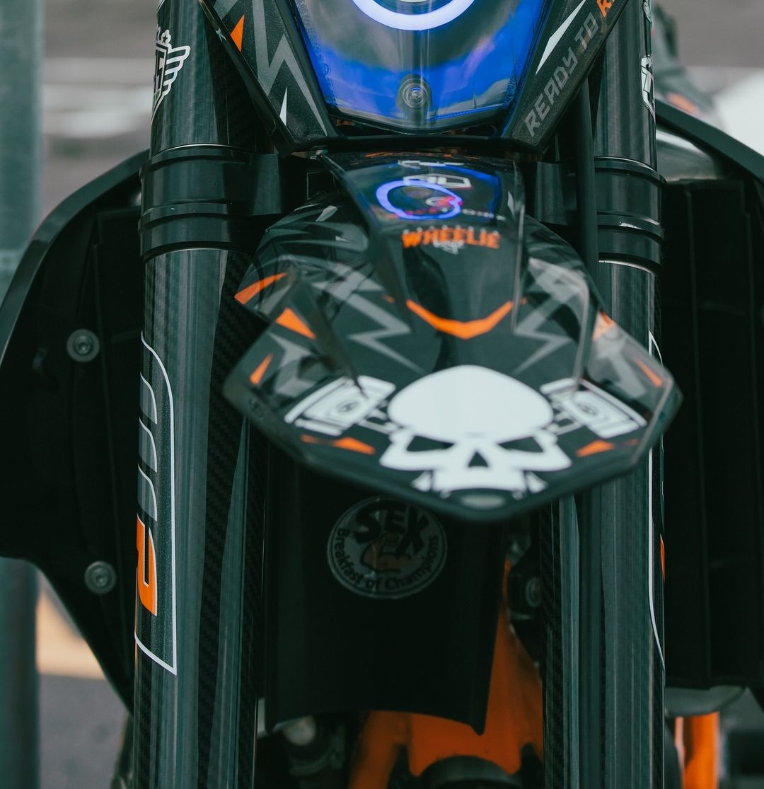 CARBON FORK GUARDS - Thebrapshop