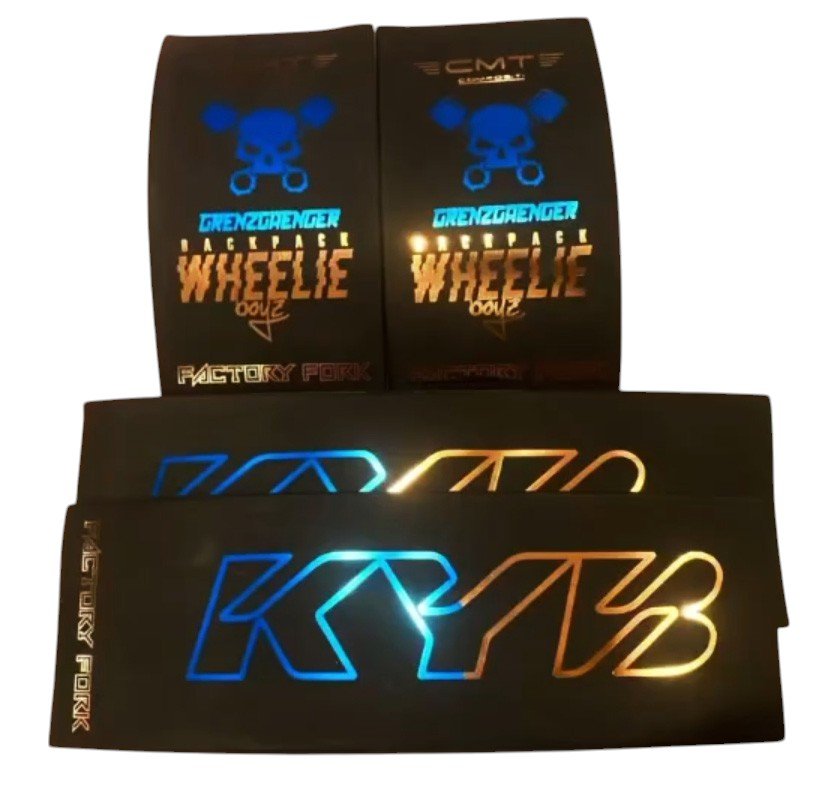 CUSTOM FULL FORK KIT - Thebrapshop