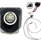 HUSKY RGBW LOCCI'S EYE 4.0 - Thebrapshop