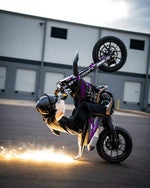 PREMIUM TAIL SCRAPER - Thebrapshop