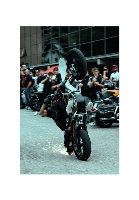 PREMIUM TAIL SCRAPER - Thebrapshop