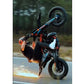 PREMIUM TAIL SCRAPER - Thebrapshop