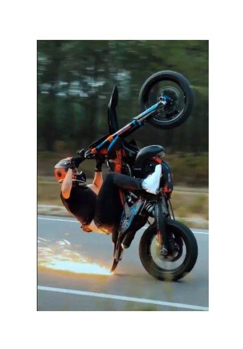 PREMIUM TAIL SCRAPER - Thebrapshop