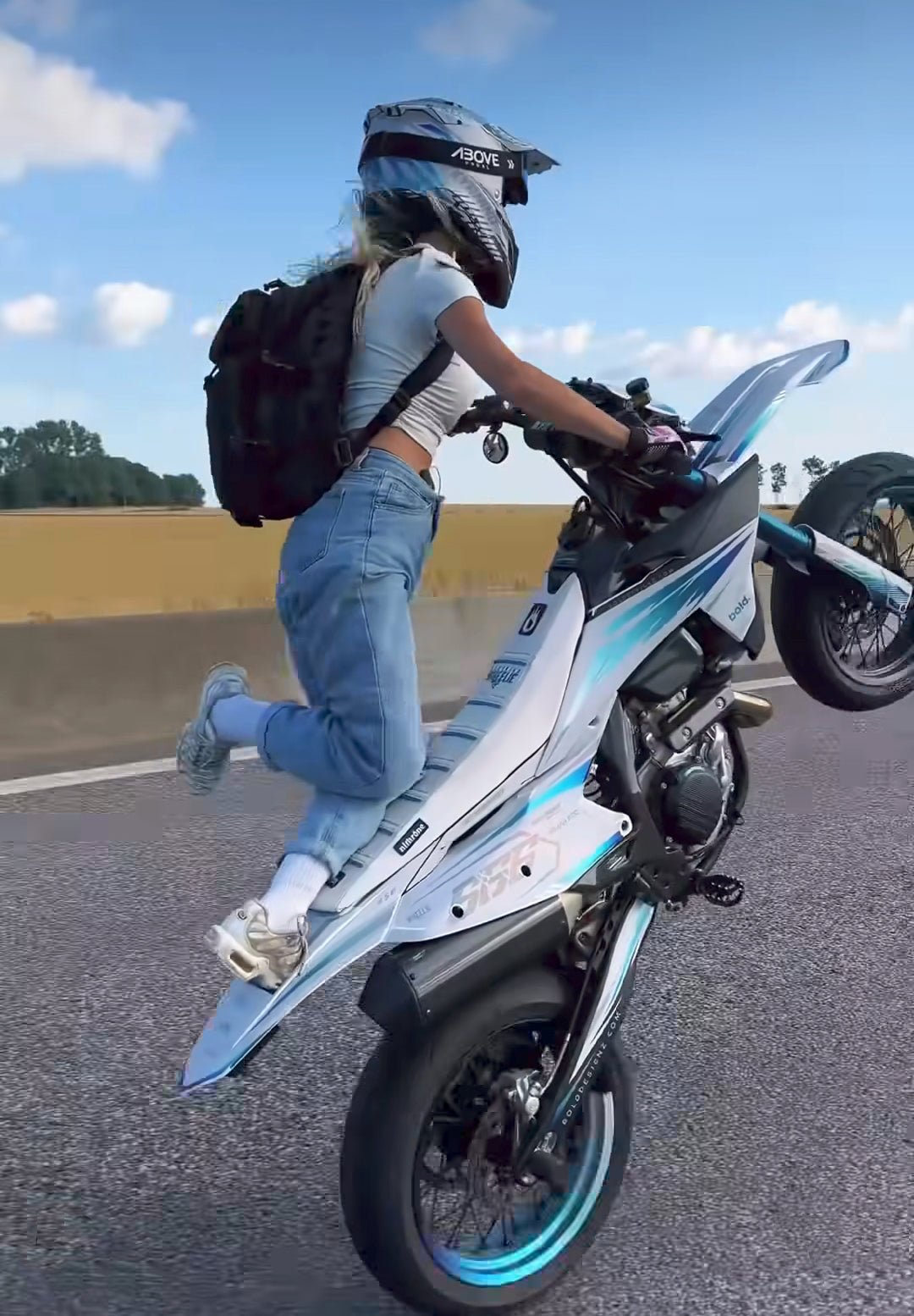 STUNT WHEELIE BAR KIT - Thebrapshop