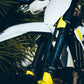 WP FULL FORK KITS - Thebrapshop