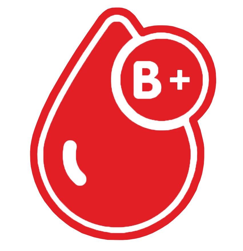 BLOOD GROUPS STICKERS - Thebrapshop