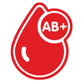 BLOOD GROUPS STICKERS - Thebrapshop