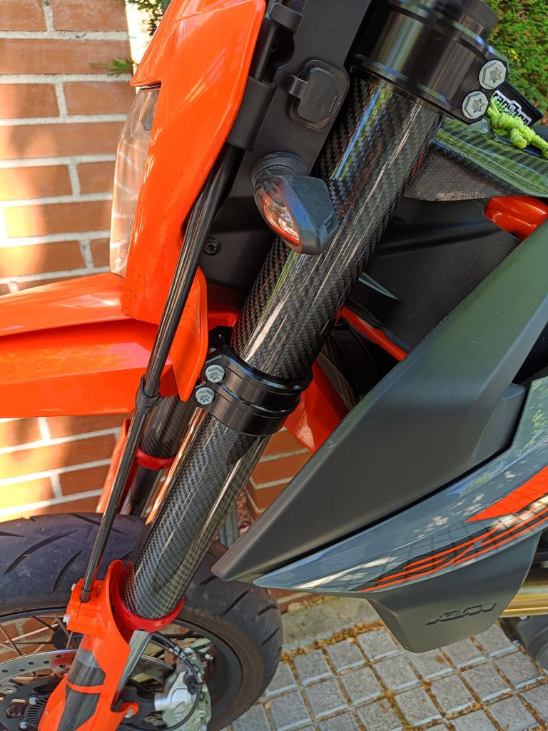CARBON FORK GUARDS - Thebrapshop