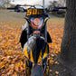 #exhaust_protector# - #thebrapshop# - #headlight_vinyl# - #hoodie# - #t-shirt# - #legalize_wheelies# - #braap# - #braaap# - #brap# - #wheelie# - #supermoto# - #supermotard# - #sm# - #motard#