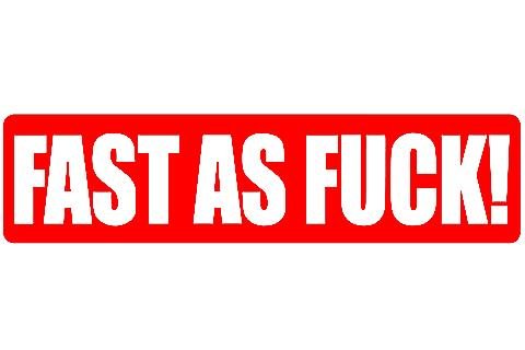 FAST AS FUCK STICKERS - Thebrapshop