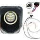 HUSKY LOCCI'S EYE 2.0 - Thebrapshop