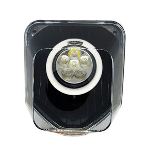 HUSKY RGBW LOCCI'S EYE 4.0 - Thebrapshop