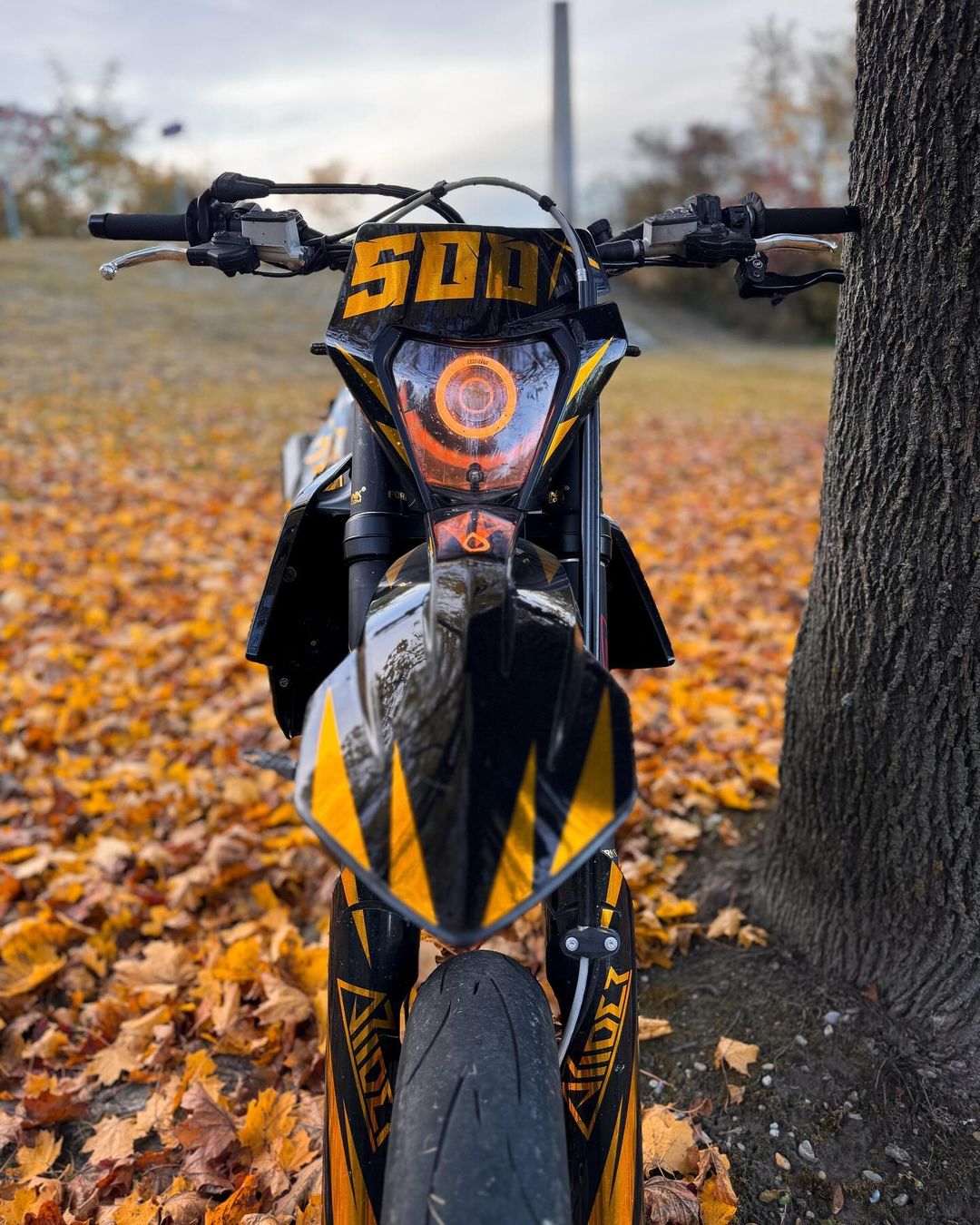 KTM RGB LOCCI'S EYE 3.0 - Thebrapshop