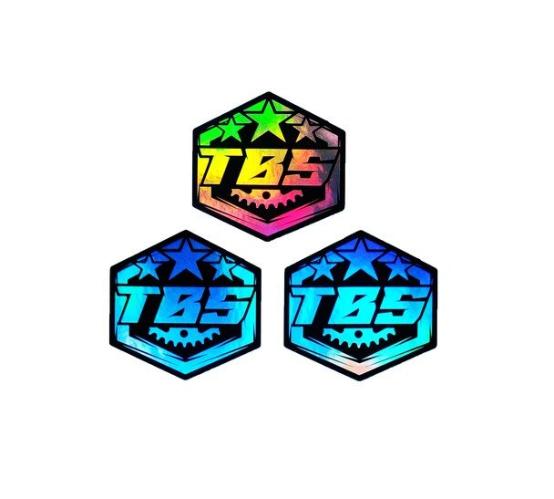 TBS ARMY HOLOGRAPHIC STICKERS - Thebrapshop