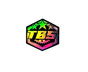 TBS ARMY HOLOGRAPHIC STICKERS - Thebrapshop