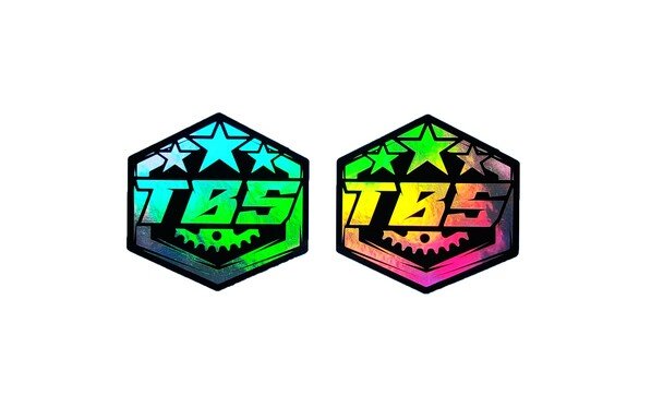 TBS ARMY HOLOGRAPHIC STICKERS - Thebrapshop