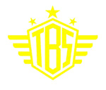 THEBRAPSHOP STICKERS - Thebrapshop
