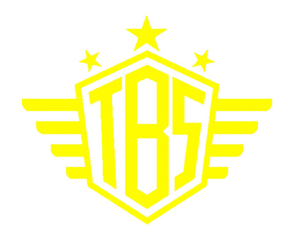 THEBRAPSHOP STICKERS - Thebrapshop