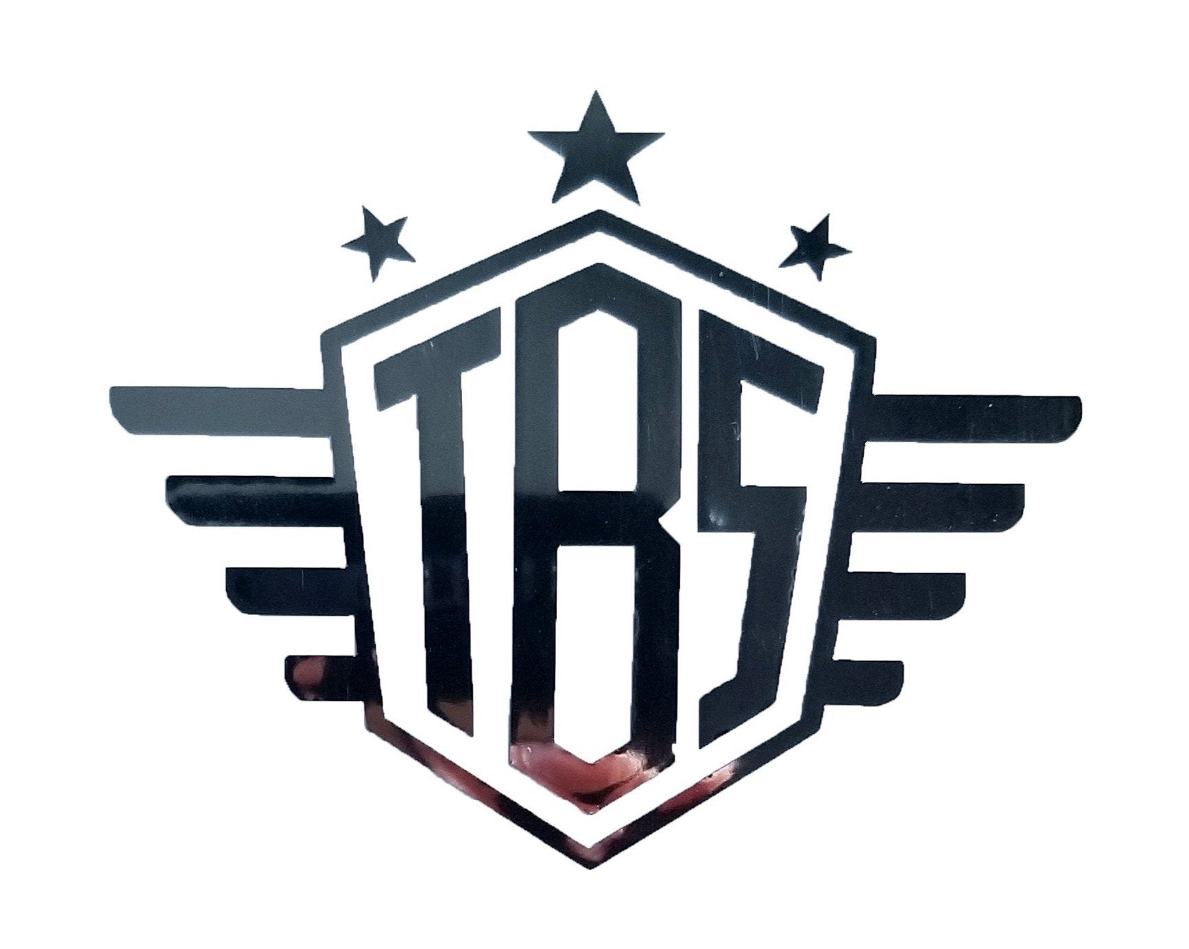 THEBRAPSHOP STICKERS - Thebrapshop